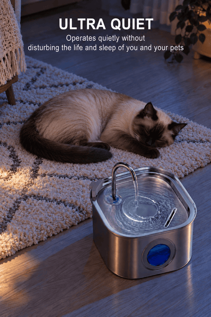 Pet Water Fountain