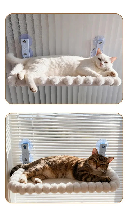 Cat Window Hammock