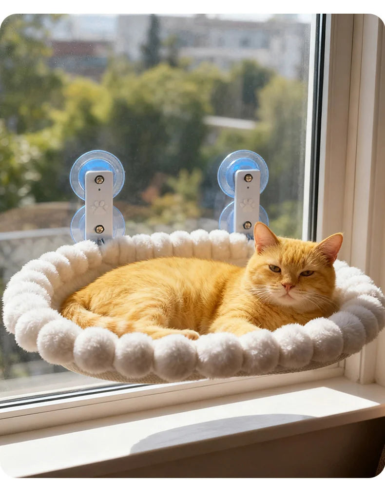 Cat Window Hammock