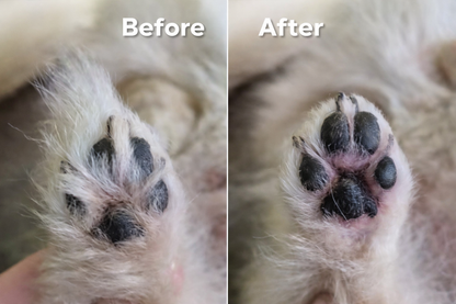 Paw Trimmer for Pet